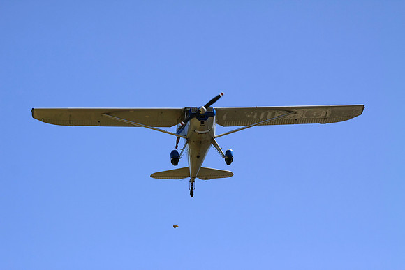 Columbia_6333_v1