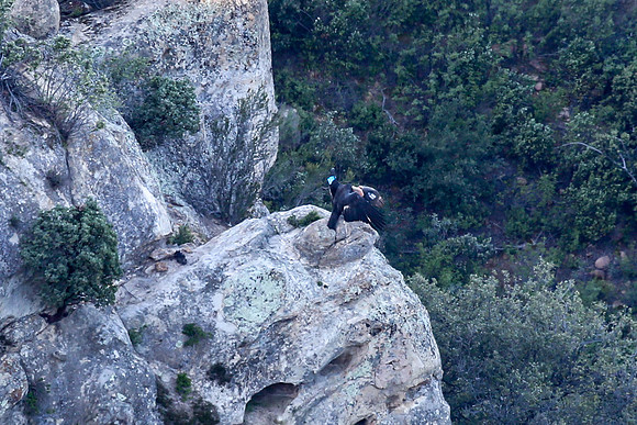 20170328 Condors-107