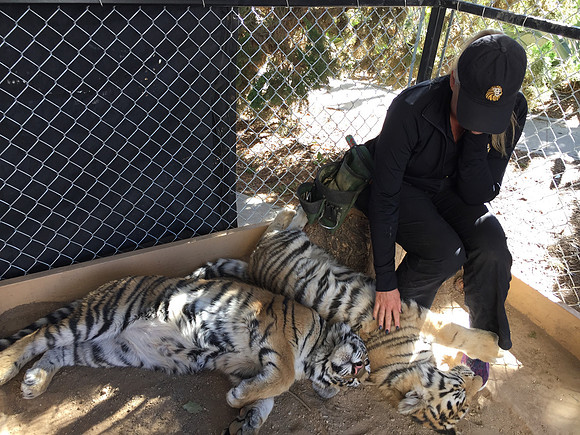 Mara with Neil and Karma