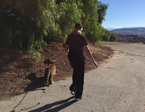 Neil with Mara