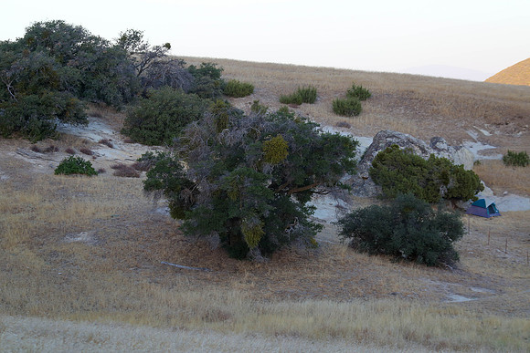 8Q9A4631-105