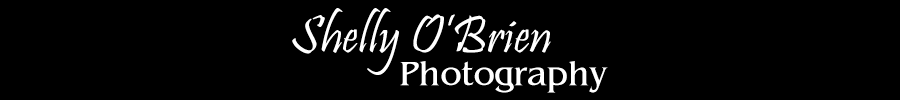 Shelly O'Brien Photography